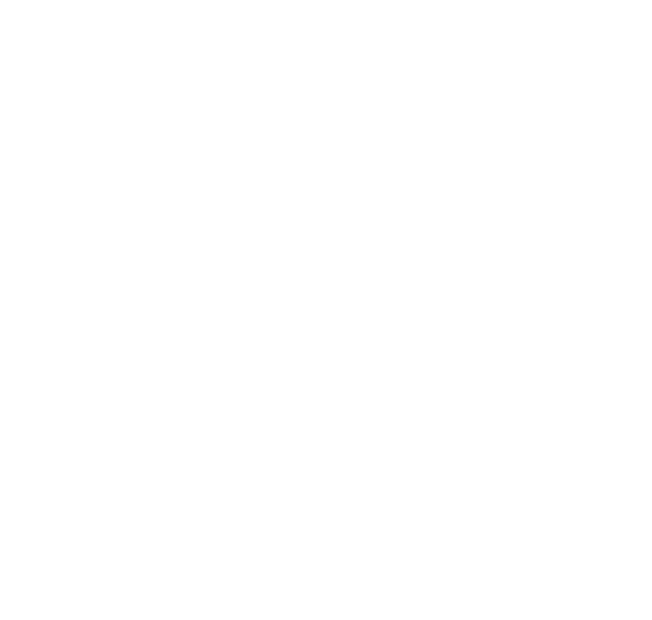 img1-shape
